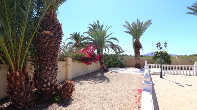 Reventa - Chalets -
Catral