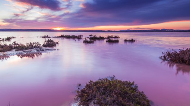 Reventa - Apartamentos -
Torrevieja - La Mata