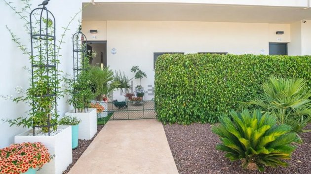 Reventa - Adosado -
Pilar de la Horadada - Lo Romero Golf