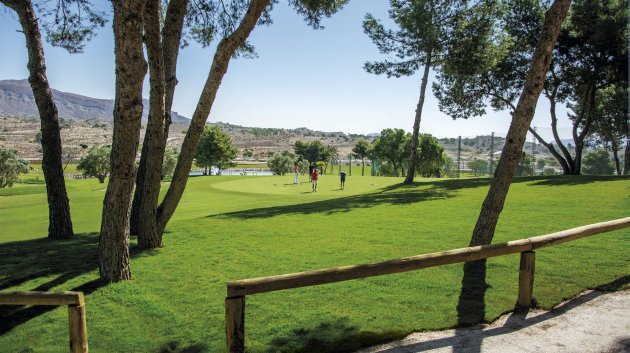 New Build - Apartments -
Monforte del Cid