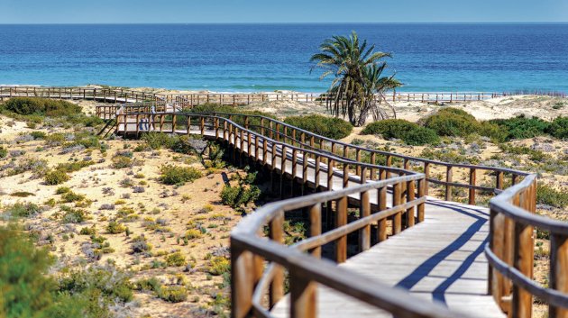 New Build - Apartments -
Monforte del Cid