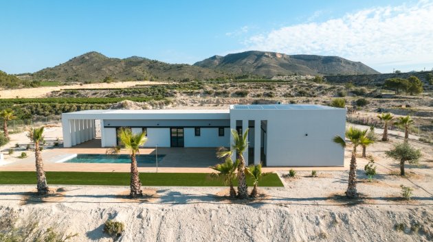 Obra nueva - Chalets -
Pinoso