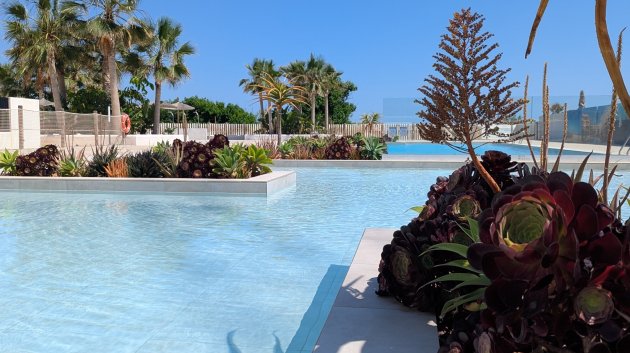 New Build - Apartments -
Denia - Dénia