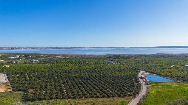 Resale - Apartments -
Los Montesinos