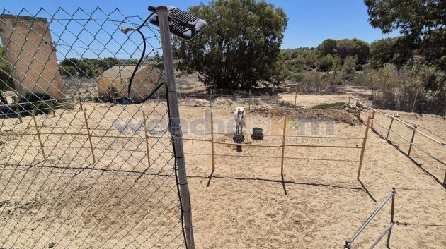 Reventa - Chalets -
Torrevieja - Los Balcones