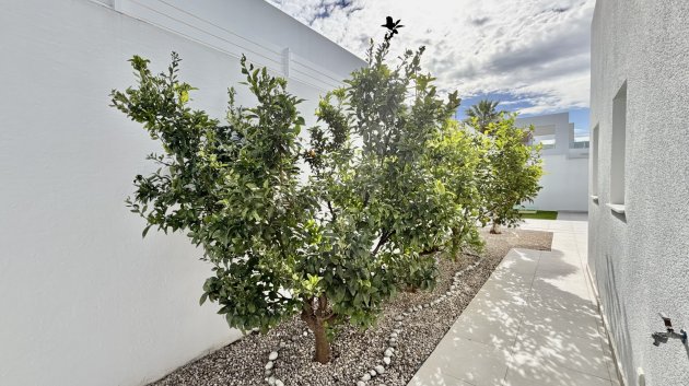 Nouvelle construction - Villa -
Benijofar