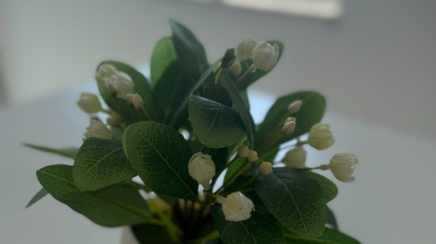 Reventa - Apartamentos -
Santa Pola