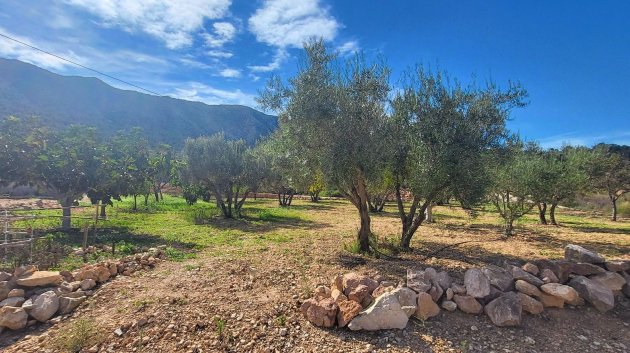 Reventa - Chalets -
La Romana