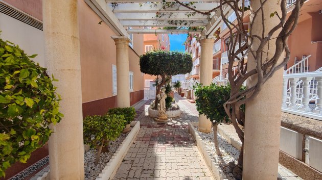 Revente - Appartements -
Torrevieja - La Mata