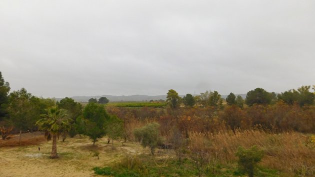 Revente - Appartements -
Torremendo