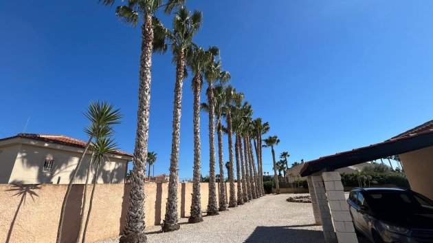 Revente - Villa -
Catral