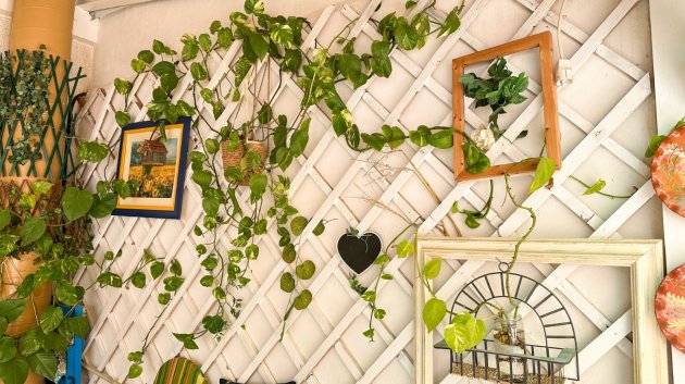 Revente - Appartements -
Torrevieja - Center