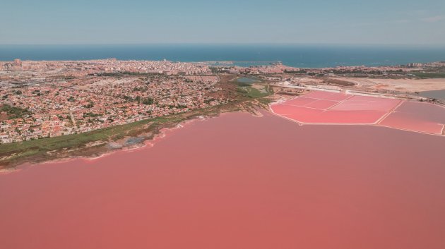 Nouvelle construction - Appartements -
Torrevieja