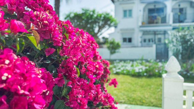 Resale - Townhouse -
Torrevieja - Lago Jardin