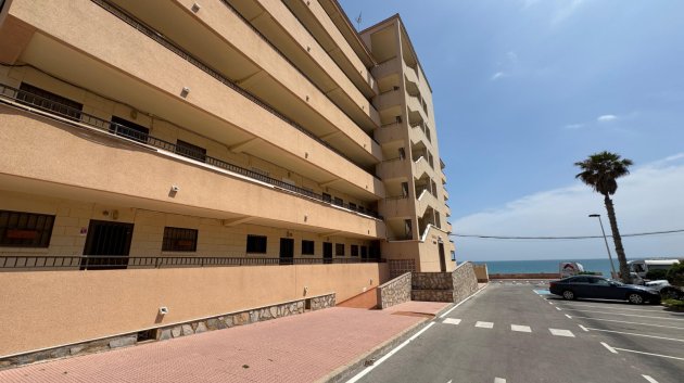 Resale - Apartments -
Torrevieja - Torrevieja>Cabo Cervera