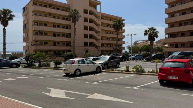 Resale - Apartments -
Torrevieja - Torrevieja>Cabo Cervera