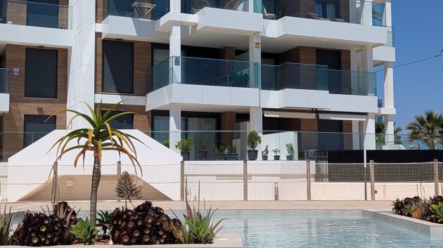 Obra nueva - Ático -
Denia - Dénia