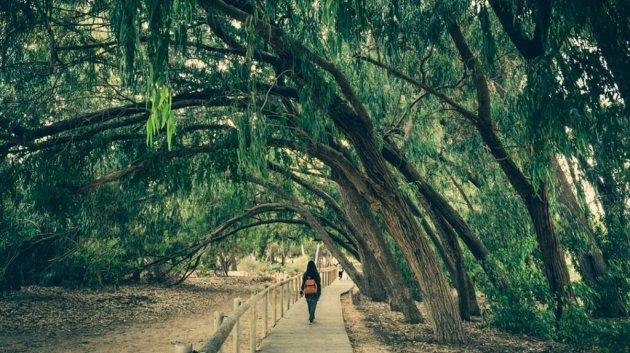 New Build - Villa -
Los Montesinos