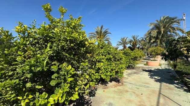 Resale - Villa -
Elche - Valverde