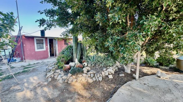 Revente - Villa -
Guardamar del Segura