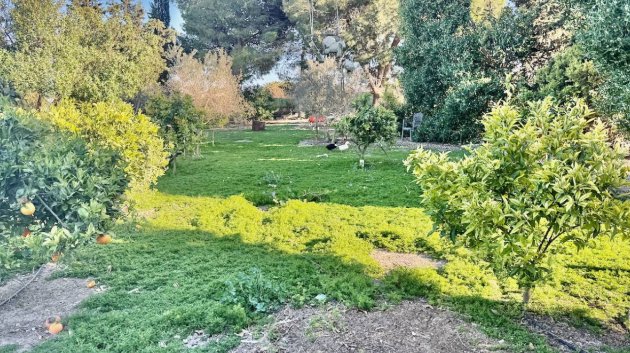 Revente - Villa -
Guardamar del Segura