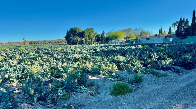 Revente - Villa -
Guardamar del Segura