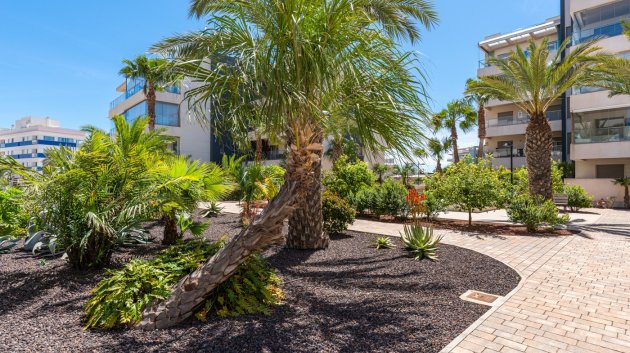 Resale - Apartments -
Orihuela Costa - Los Dolses