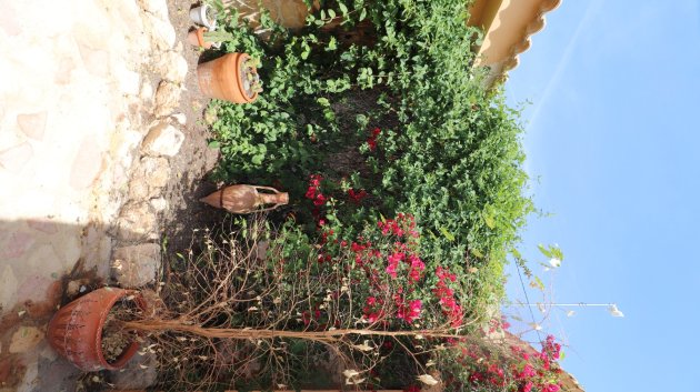 Resale - Villa -
Hondón de las Nieves - La Canalosa