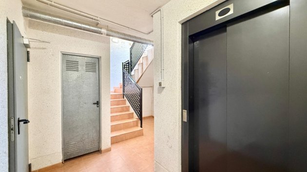 Revente - Appartements -
Monforte del Cid