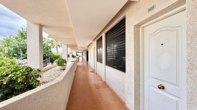 Revente - Appartements -
Monforte del Cid