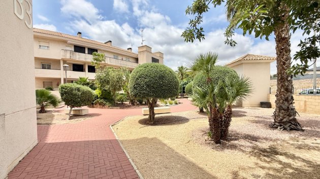 Revente - Appartements -
Monforte del Cid