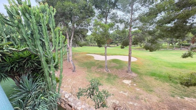 Resale - Villa -
Altorreal
