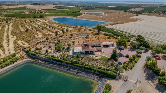 Resale - Villa -
San Miguel de Salinas - Torremendo