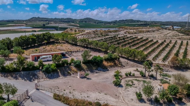 Resale - Villa -
San Miguel de Salinas - Torremendo