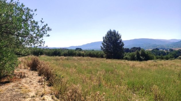 Resale - Land -
Muro de Alcoy