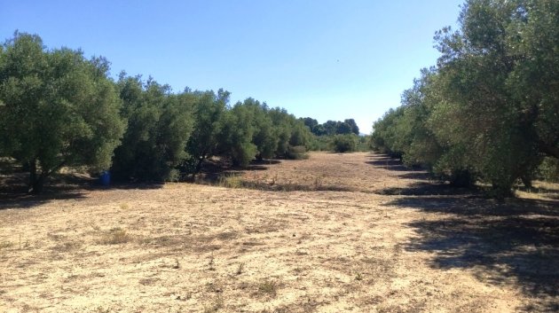 Resale - Land -
Muro de Alcoy