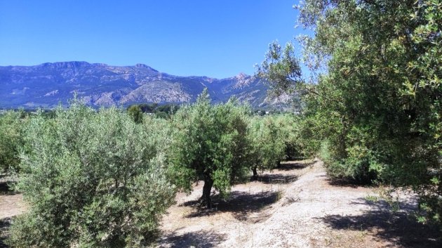 Resale - Land -
Muro de Alcoy