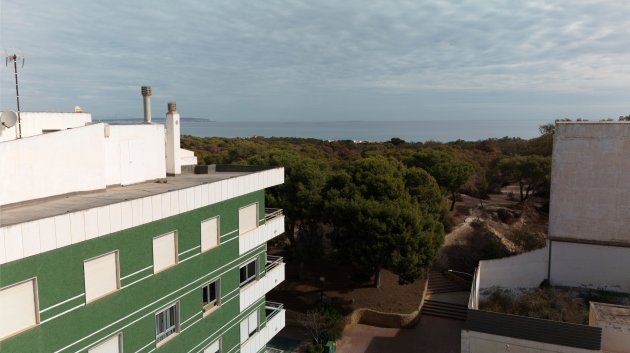 Obra nueva - Apartamentos -
Guardamar del Segura