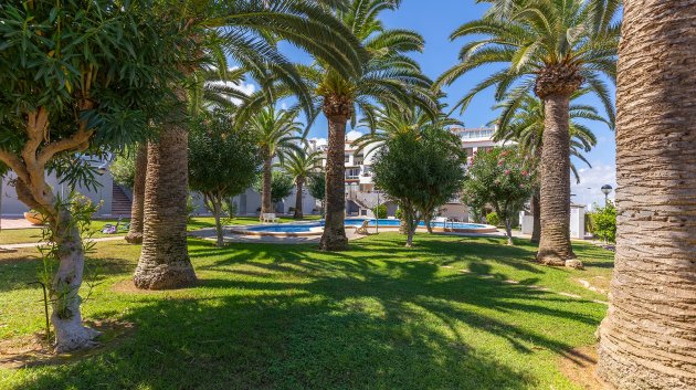 Reventa - Apartamentos -
La Mata