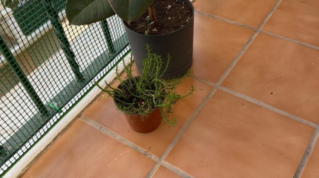 Revente - Appartements -
Almoradí