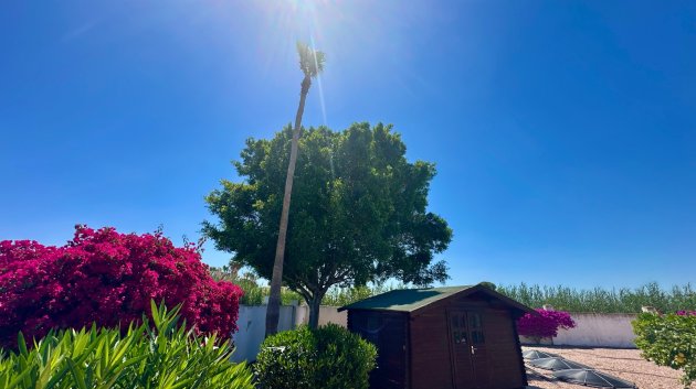 Resale - Villa -
Catral