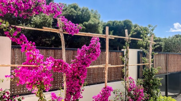 Resale - Apartments -
Santiago de la Ribera - zona san blas