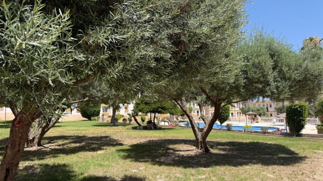 Resale - Apartments -
Orihuela Costa - Blue Lagoon