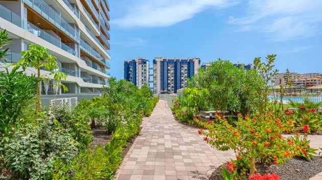 Resale - Apartments -
Orihuela Costa - Punta Prima