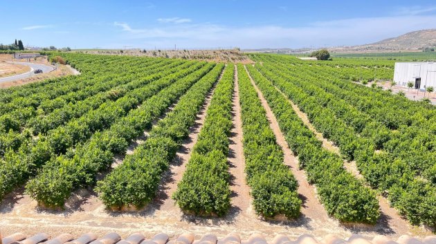 Resale - Apartments -
Algorfa - Pueblo