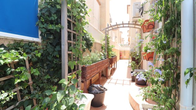 Resale - Villa -
Algorfa - Montebello