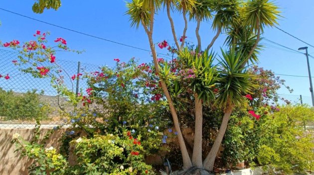 Reventa - Chalets -
Abanilla