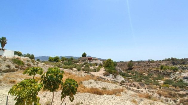 Reventa - Chalets -
Abanilla