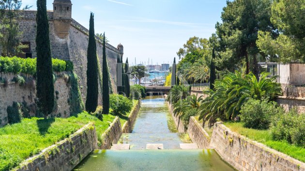 Resale - Apartments -
Palma - Santa Catalina