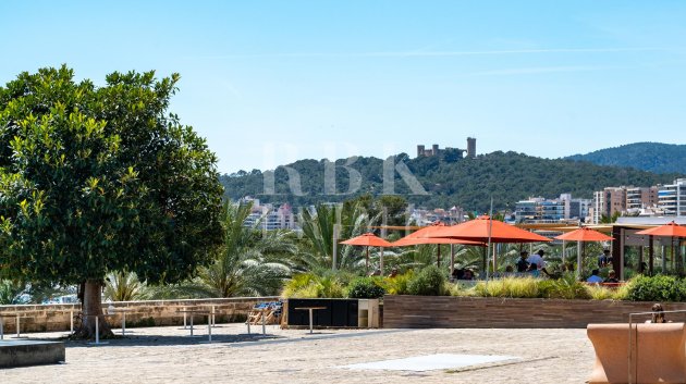 Resale - Apartments -
Palma - Santa Catalina